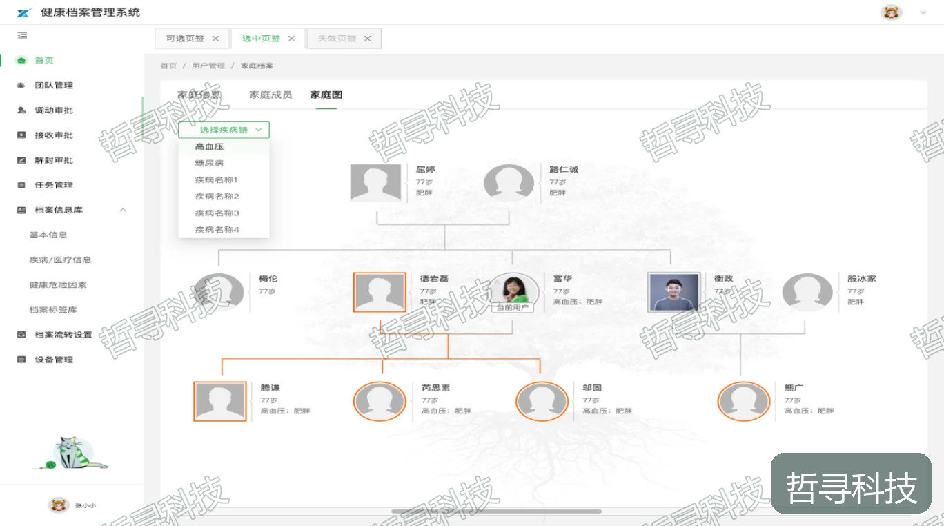 哲寻全生命周期健康档案管理系统 · 个人与家庭健康档案界面